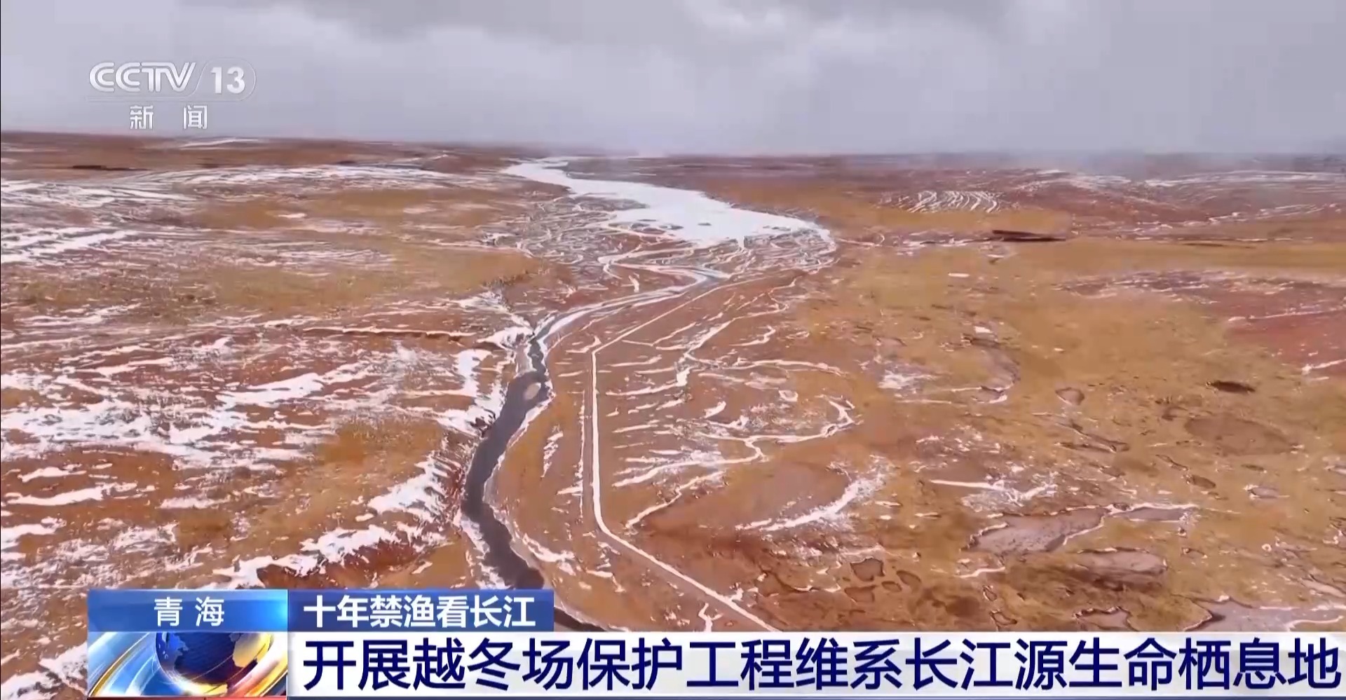 长江禁渔鱼类数据变化,长江禁渔三年多鱼儿们过得怎么样