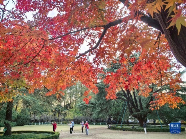 冬景迷人,冬景如画