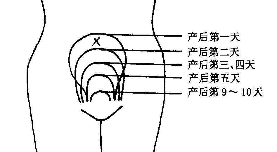 妇幼保健院的产后恢复是做什么的,妇幼保健院产后修复及体型恢复