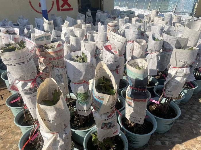 菏泽飞机几个小时到青岛,菏泽飞哈尔滨飞机