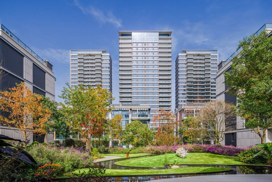 高分交卷！天恒，不止于期待