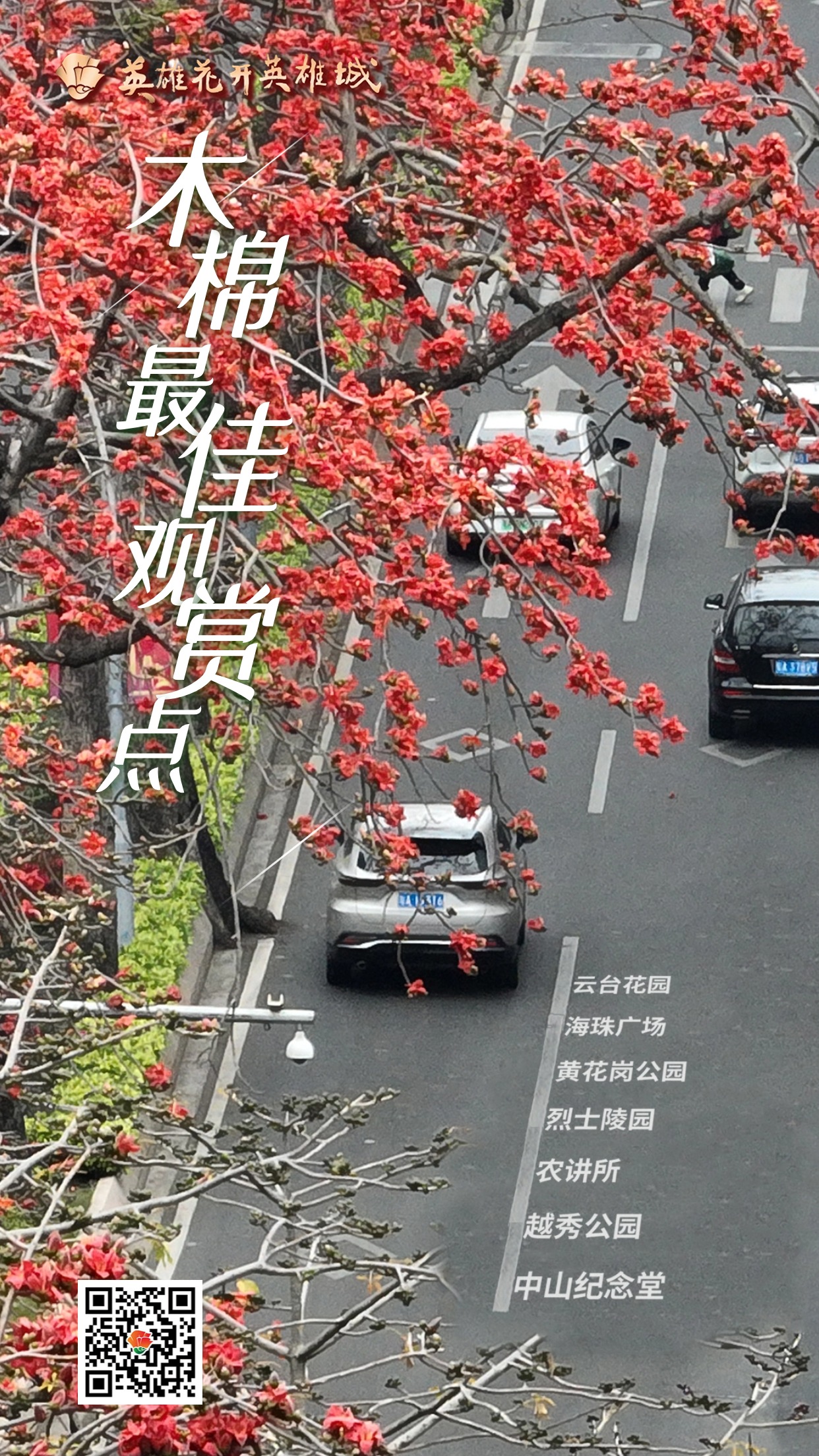 2022广州英雄城英雄花,广州英雄广场木棉花