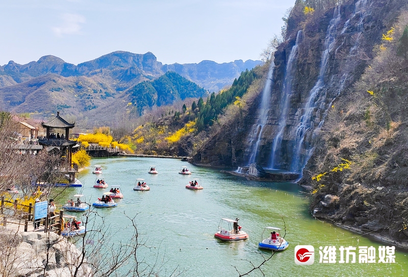 这个假期盛开如花,赴一场花之约邂逅春日浪漫