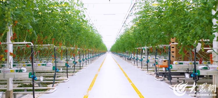 全省首个供暖用地热井“热情不减”！德州奋力铺展地热规模化利用新画卷