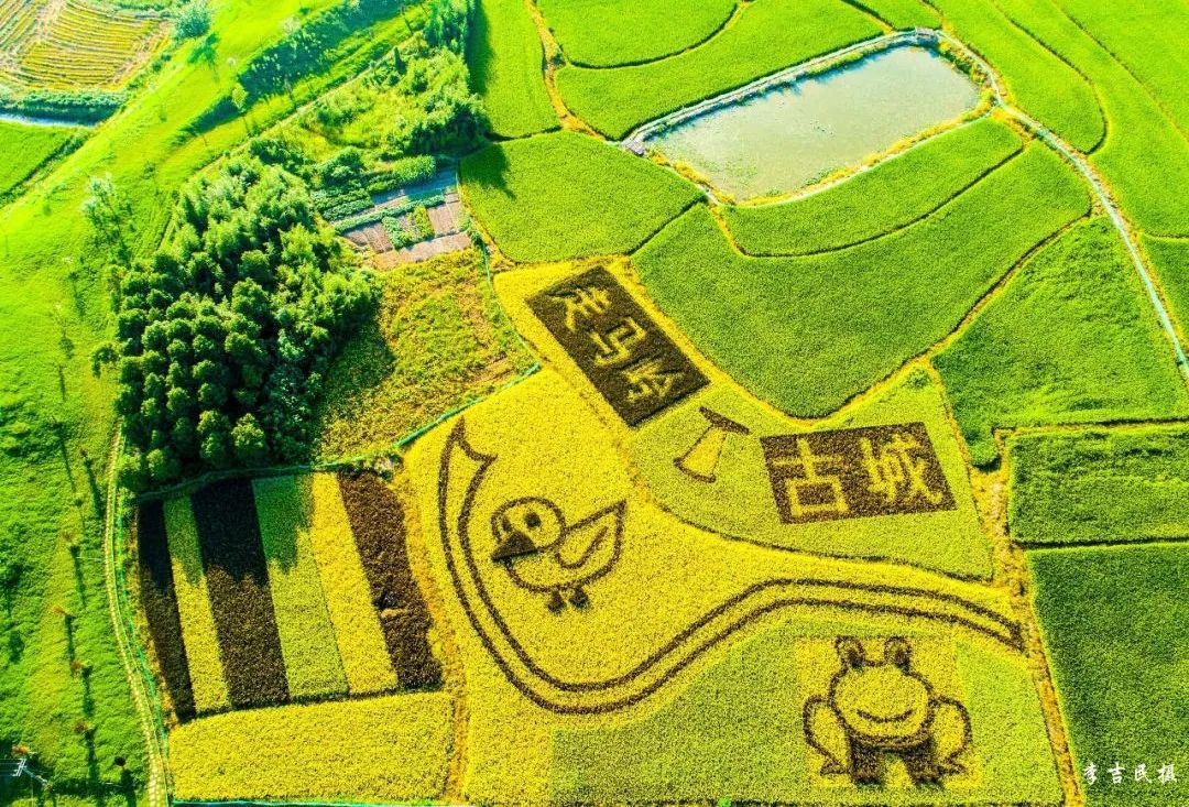 湖北银行2023守望长江超级马拉松（湖北·石首）暨石首半程马拉松官宣10月29日！