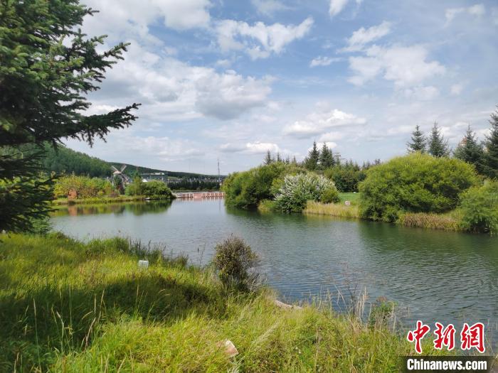 中国童话小镇阿尔山,阿尔山的童话小镇