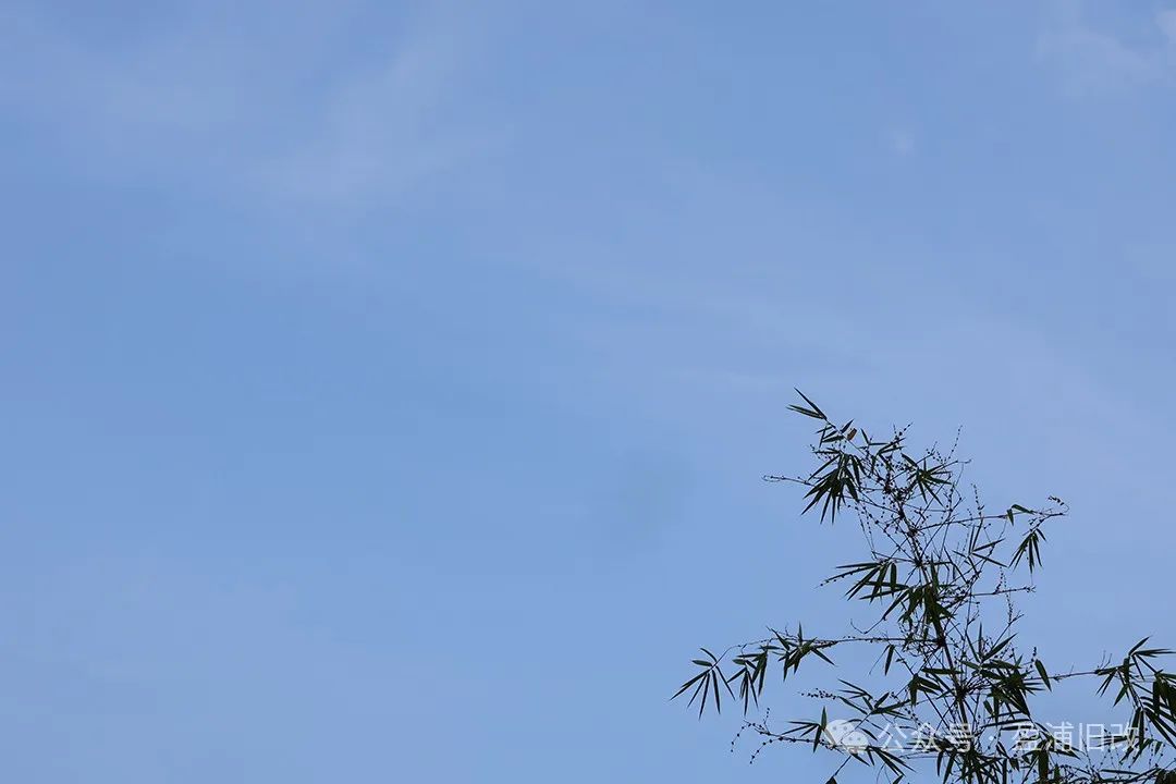 “百年老城厢，江南新天地”来听盈浦居民分享自己与老城厢的故事吧～