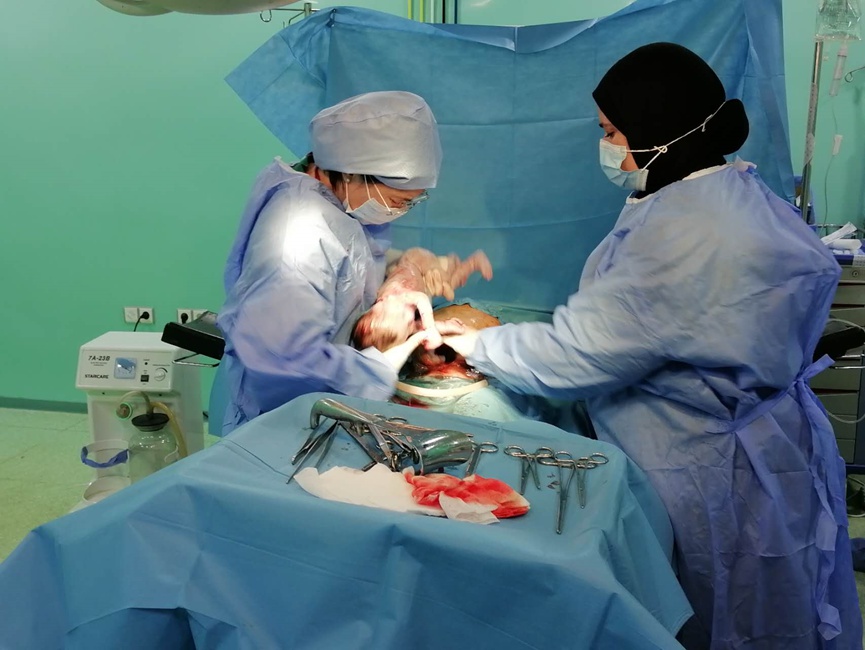 第26批援坦桑尼亚医疗队,第32批援赤道几内亚中国医疗队