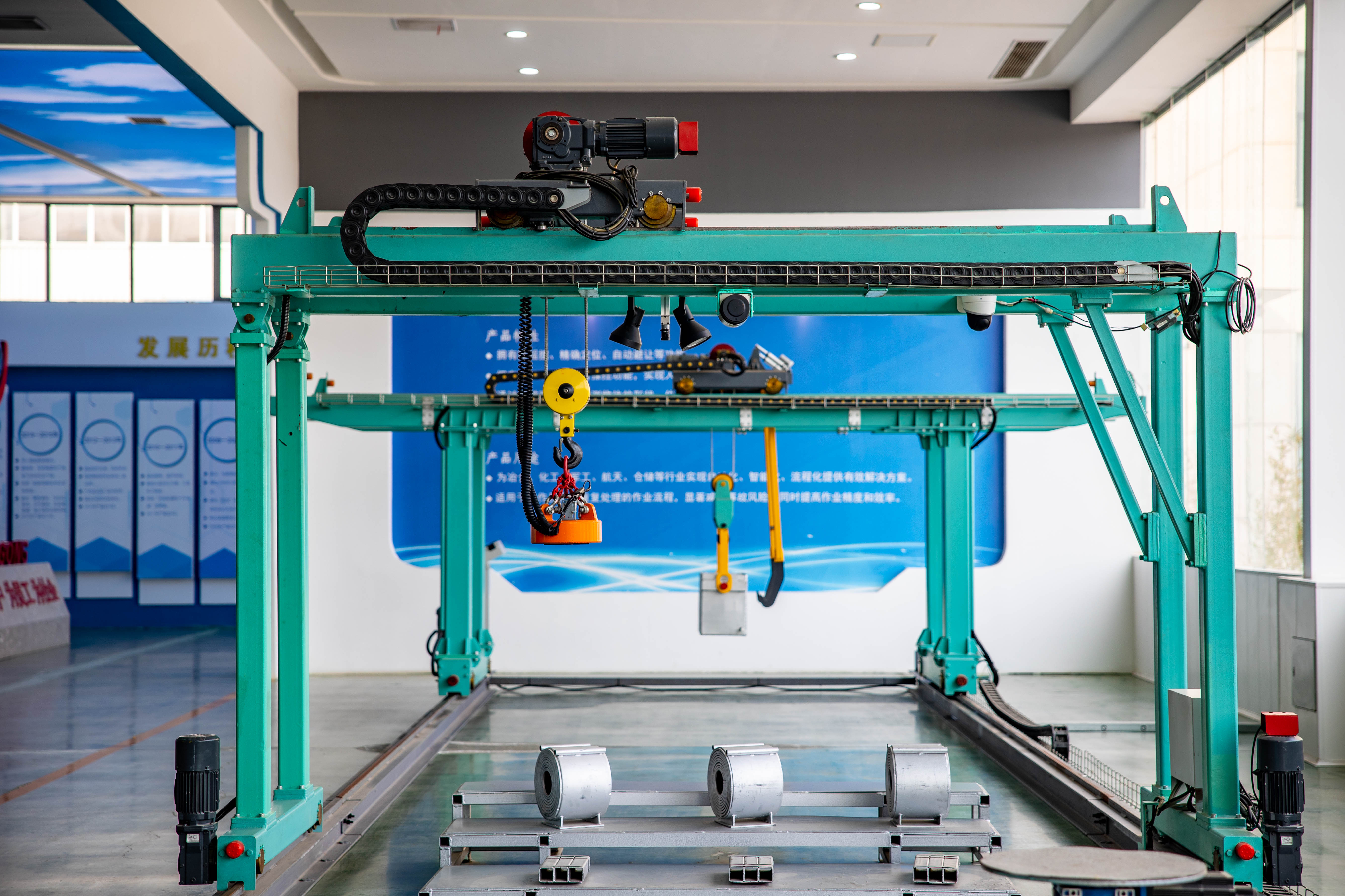 河南向新而生,向新而生完整视频