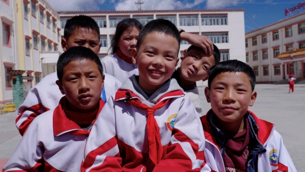 世界雪豹保护日,世界雪豹分布的国家数量