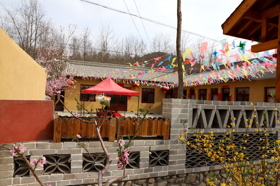 温泉镇探索旅游农业助力乡村振兴,白沙镇文旅融合