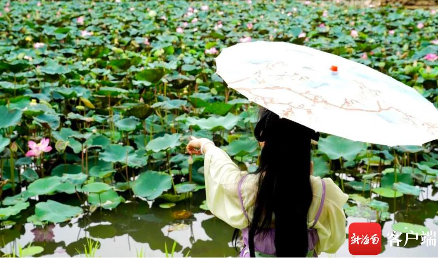 海口西海岸休闲好去处,海口秀英区附近好玩的地方推荐