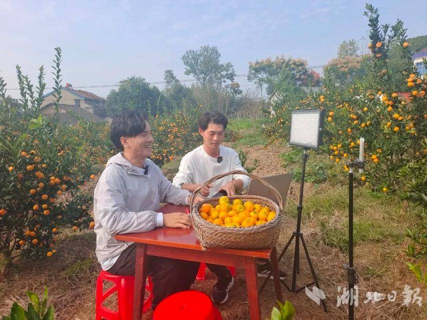 松滋：从上海滩到新桥湾，“城乡兄弟”带农产品“出圈”