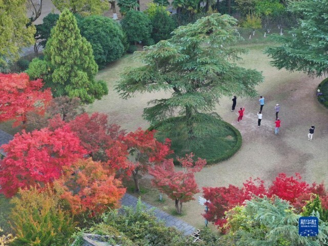 冬景迷人,冬景如画