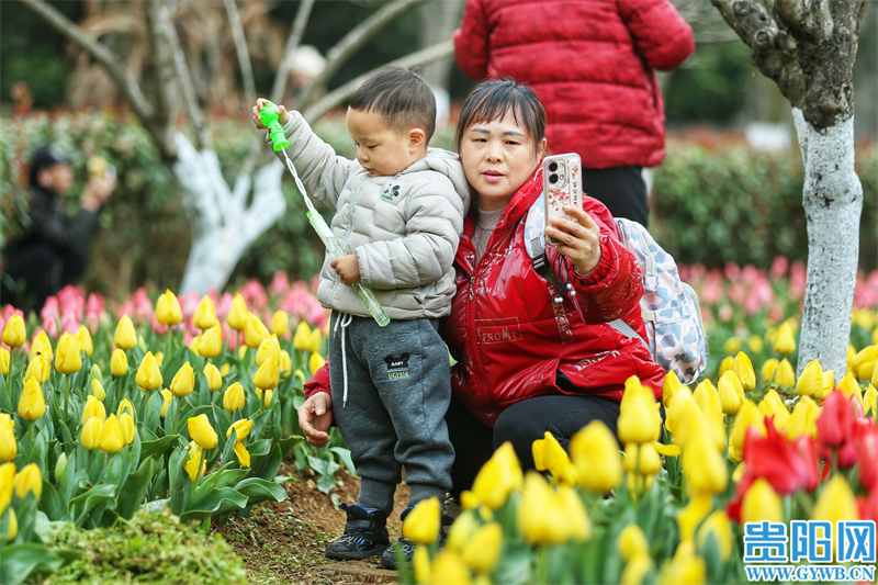 多彩贵州花漾中国走进黔西南,多彩贵州花漾中国兴义