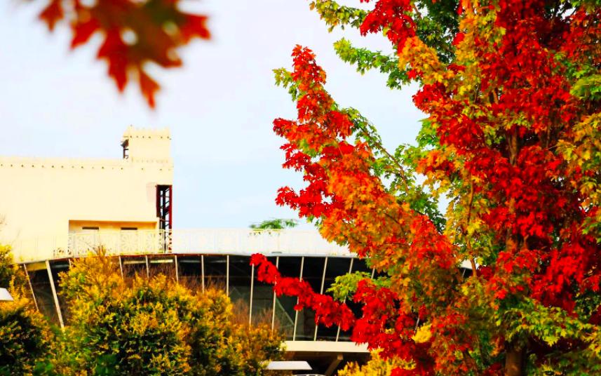 亲子儿童乐园主题酒店,假期适合儿童去的儿童乐园