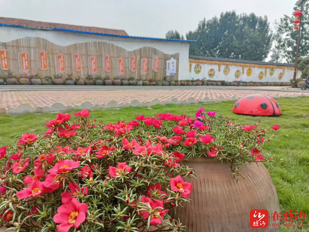 一镇一业成大业丨临沂市沂水县许家湖镇：“花开长虹以美养美”