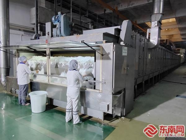 赛得利福建纤维有限公司简介,赛得利福建纤维