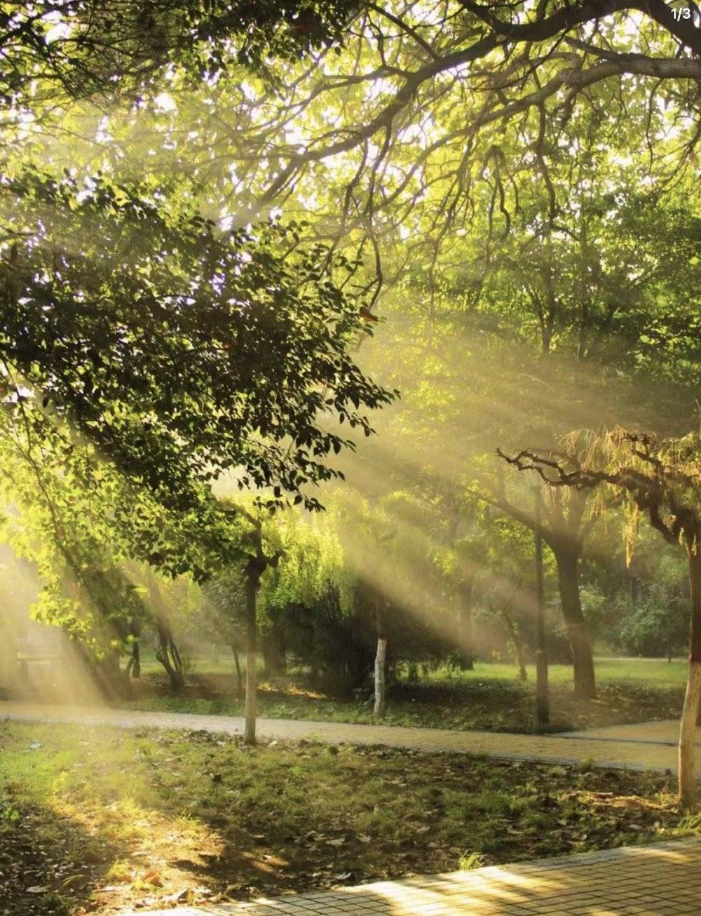 被化学逼疯的女人,被化学逼疯的女孩原视频