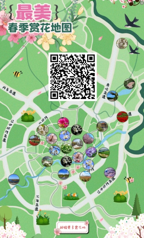 沈阳樱花拍照打卡,沈阳赏花打卡地