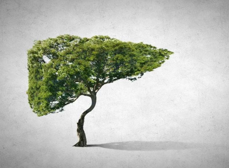 体检肝功能异常能入职吗,高考体检肝功能异常158