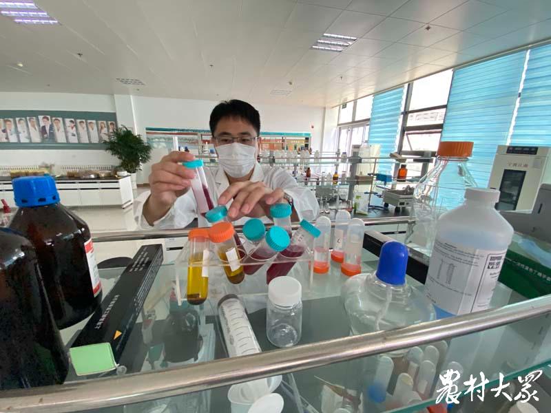 海洋生物捕获多少二氧化碳,海洋封存二氧化碳技术有哪些国家