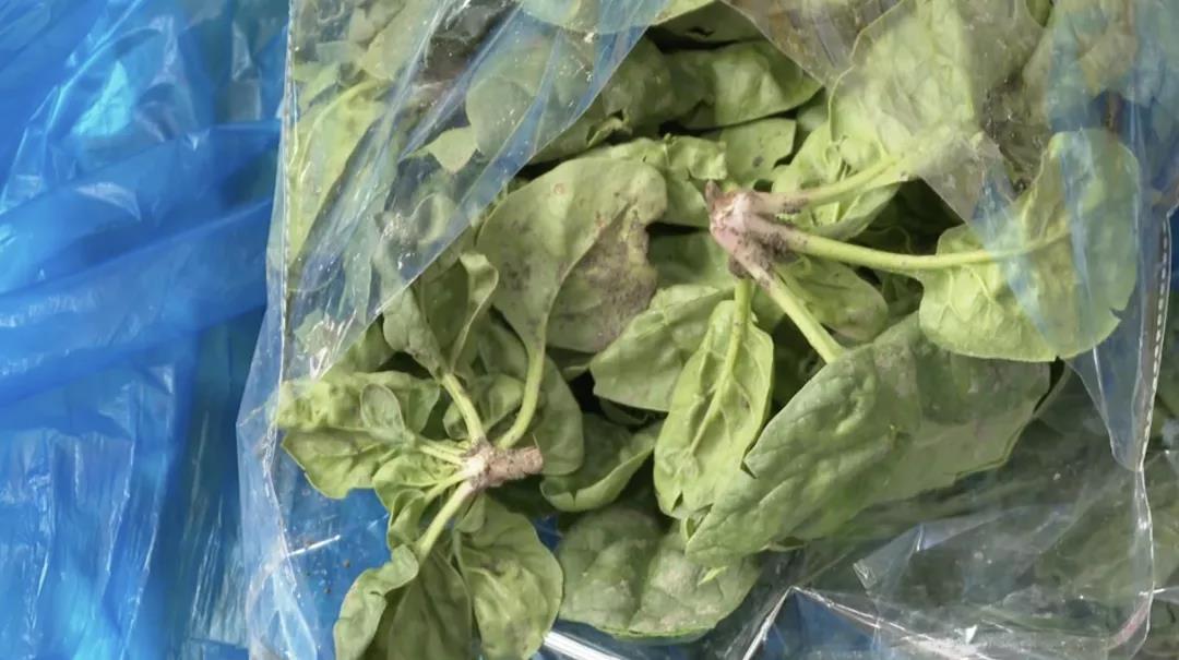 港沿镇的张阿姨是怎么把菜卖到市区的？