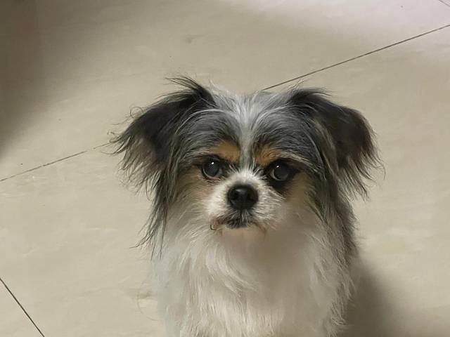 省道244自驾游攻略,最美228国道公路自驾游攻略