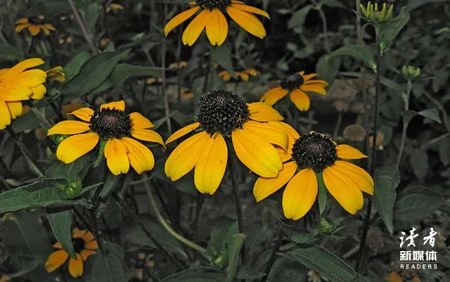 不愿意借钱给你的人还需要来往吗,借钱不回消息还有必要往来吗