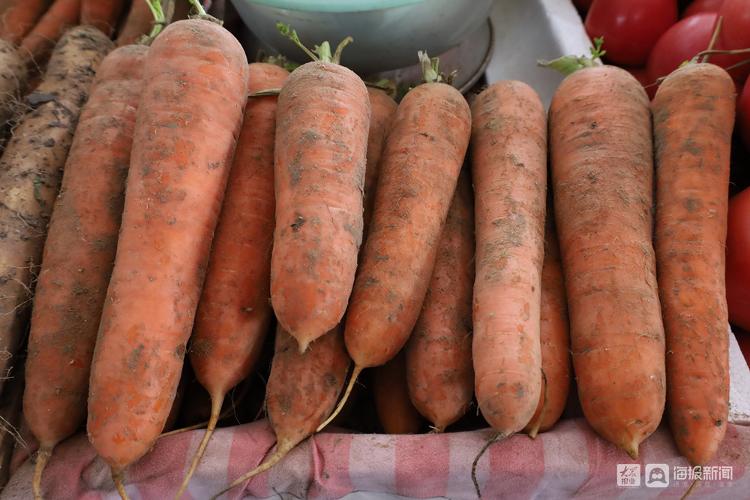 市民菜篮子有保障,市民菜篮子的视频