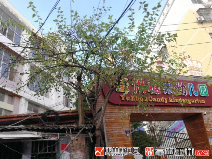 老式夹心饼干工厂,白糖老式薄脆饼干工厂