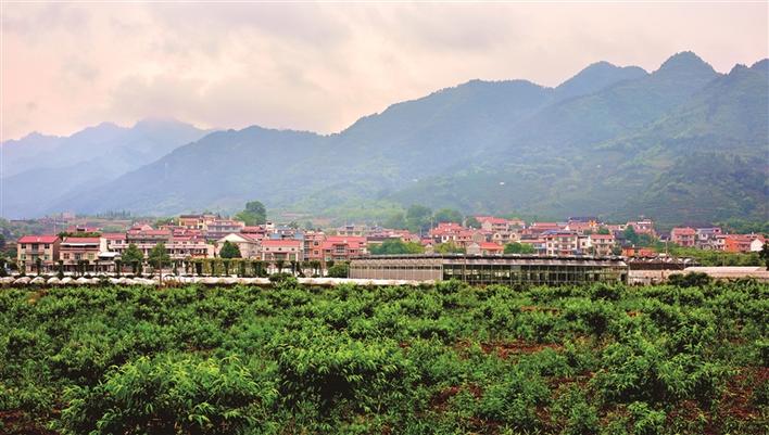 马王溪花海,马王溪山水