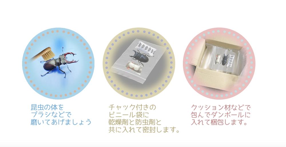 日本公司推出“昆虫殡葬服务”，你会为昆虫花钱举行葬礼吗？