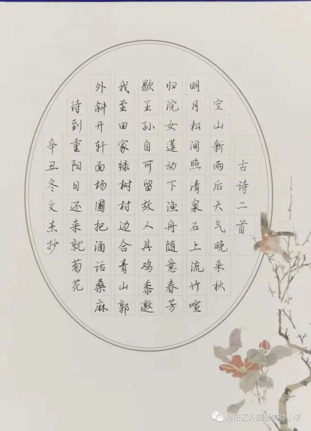 教育局开展教师三笔字比赛,全区教师三笔字大赛美篇