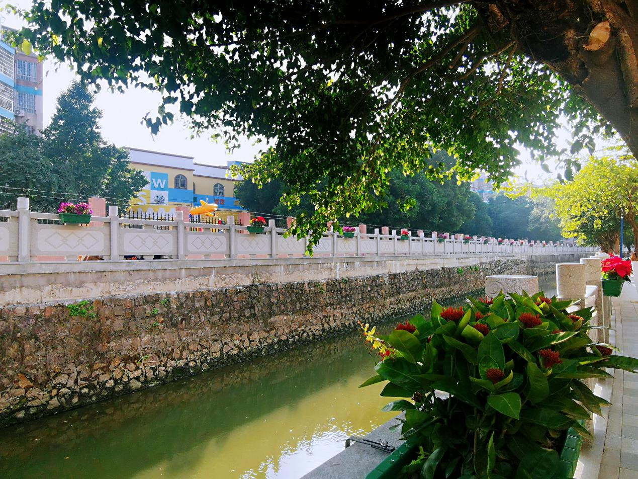 广州白云区2022年十项民生实事,白云区十件实事出炉