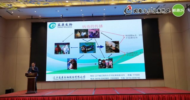 克“禽”攻坚，以一流品质助力养殖企业良性发展