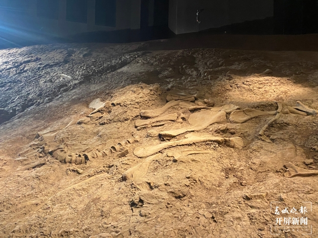 禄丰世界恐龙谷与恐龙博物馆,禄丰恐龙谷飞越侏罗纪项目