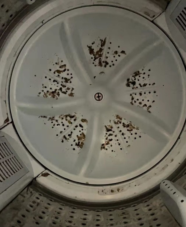 衣服上的毛絮怎么洗掉,衣服洗完好多毛毛如何去除