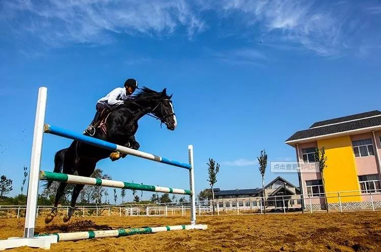 骑手说的心里话,骑手最怕听的一句话