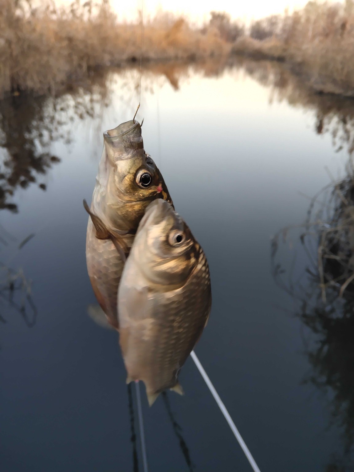 邓刚大师讲解调漂,新手立漂调漂的正确方法和技巧