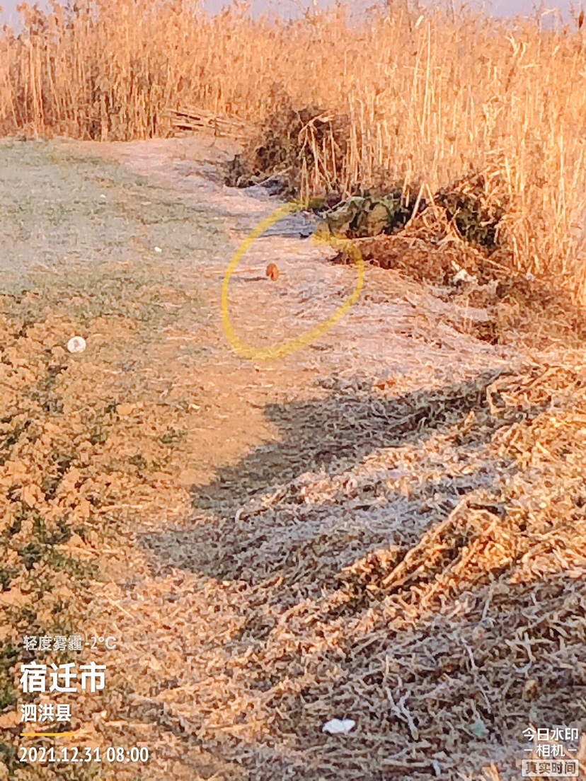 冰钓沉浸式体验,第一次体验冰钓视频