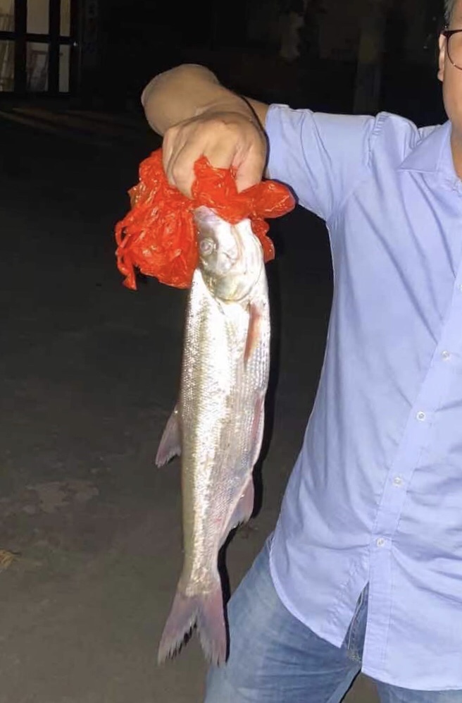 2021打龟爆护同在，未来渔你同行