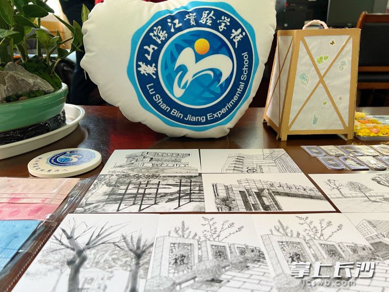 优秀校园文创产品,学校文创产品有哪些