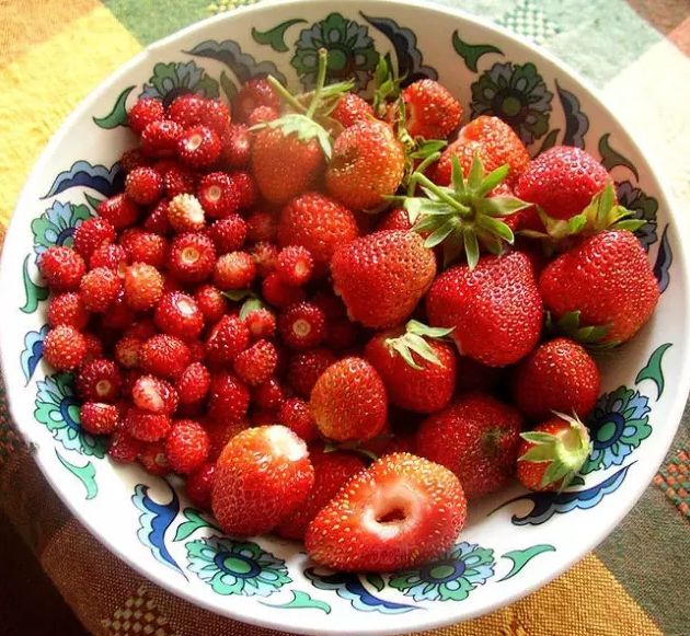 激素草莓是空心的吗,草莓畸形空心是用了激素了吗