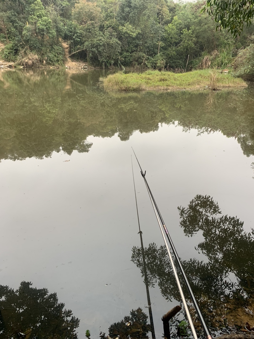 野钓鲫鱼爆护的最佳方法,冬季野钓鲫鱼小鱼闹窝严重怎么办