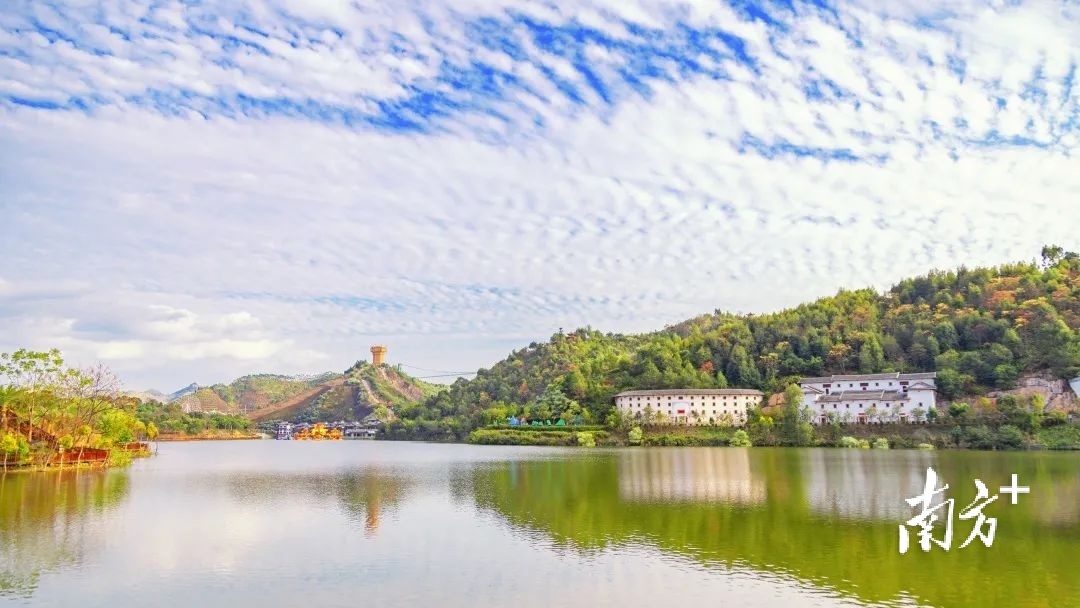 梅州向您发出邀请，赏花专列出发啦