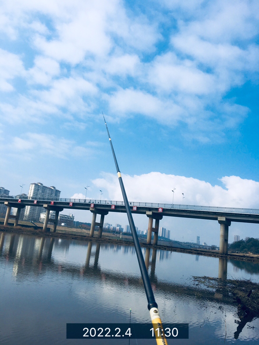 用老婆的菜篮子装新年的第一“金”