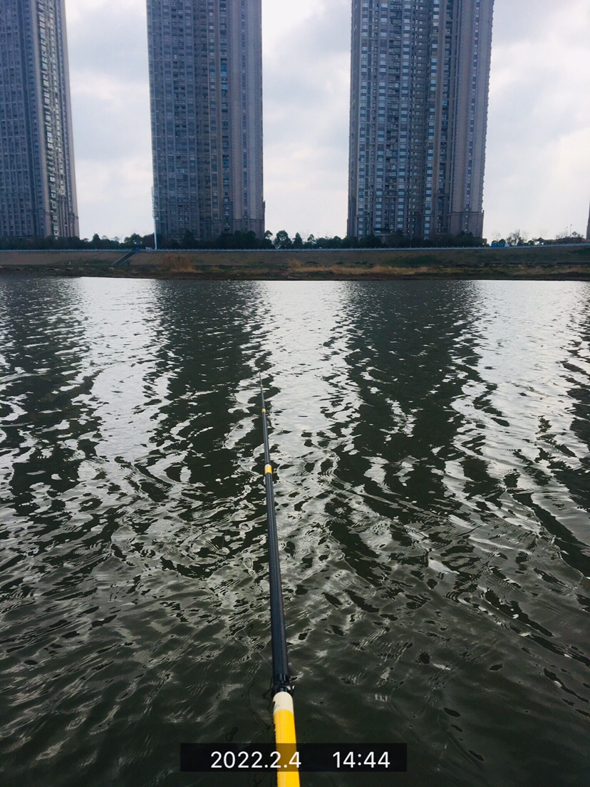 用老婆的菜篮子装新年的第一“金”