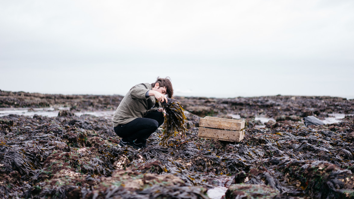 雅诗兰黛转型,雅诗兰黛旗下的护肤品牌