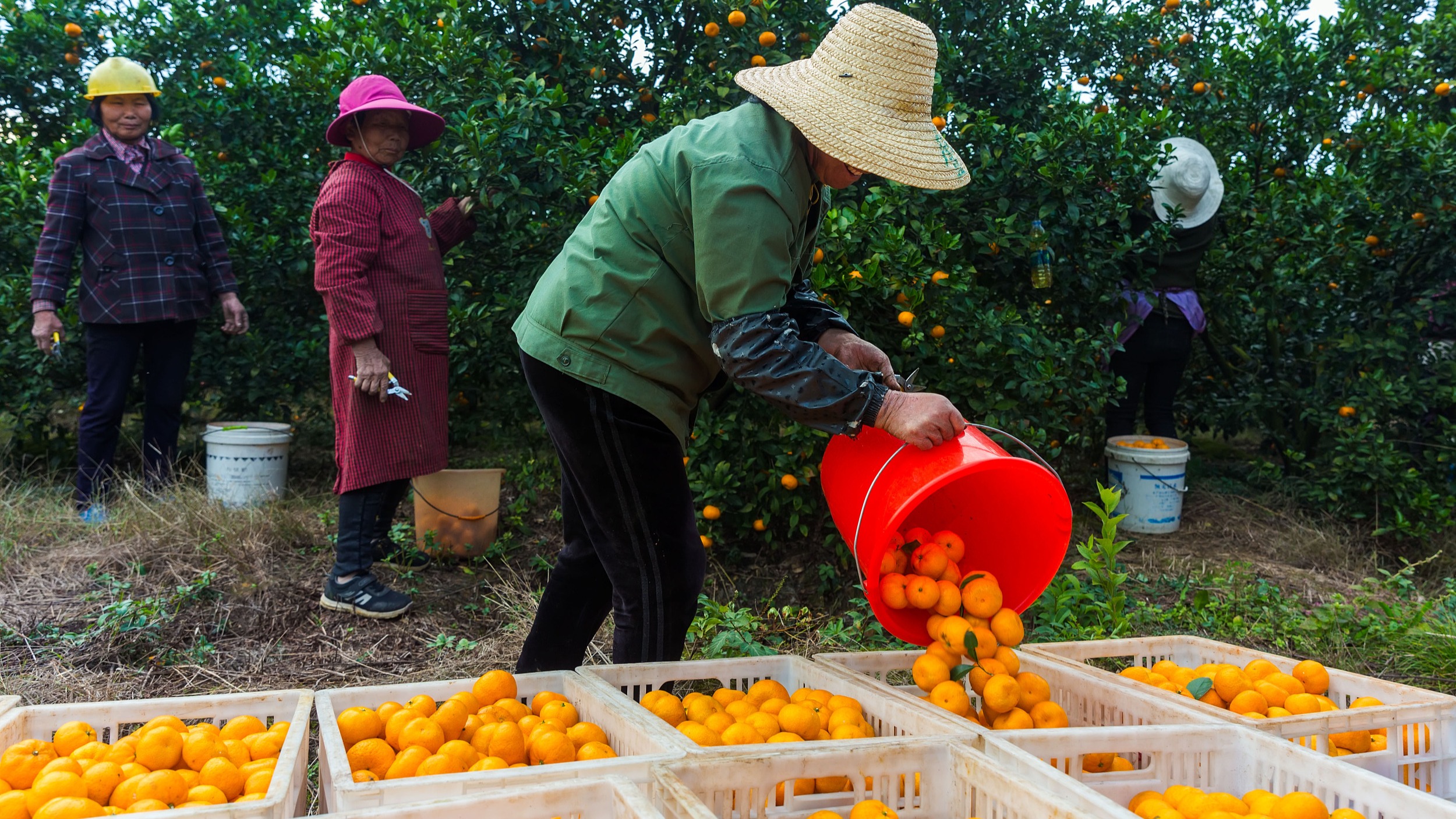 古典徽商改写平民创业者命运,古典微商